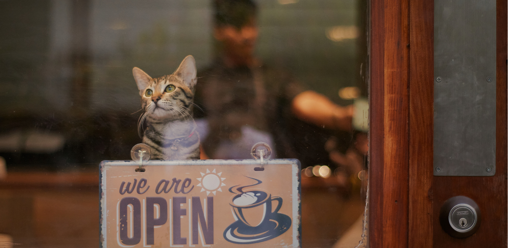 A cat sits at a café window beside a "We are open" sign, with a young person working behind the counter in the background.